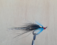 Gledswood Shrimp - Blue