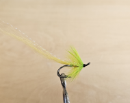 Chartreuse Shrimp (DB)