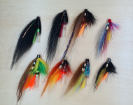 Templedog Assorted Selection