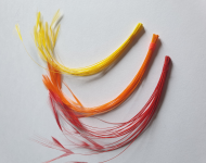 Dyed Stripped Feather Feelers