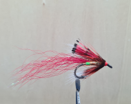 Ally's Shrimp Red (Loop Double)